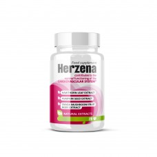 Herzena